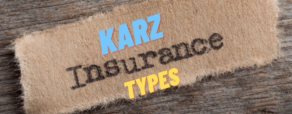 Types of Karz Insurance